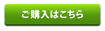 日本語書き順実装フォントの購入